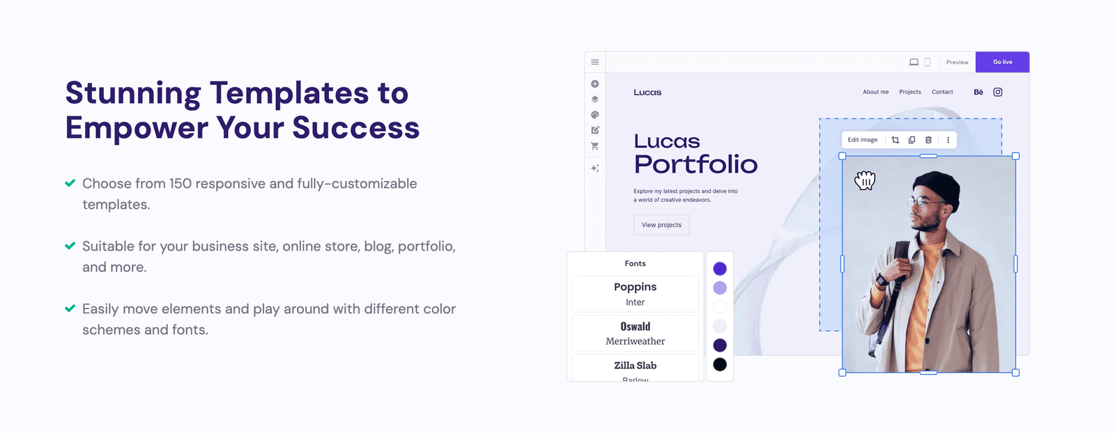 Hostinger template editor options